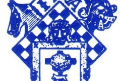 Federacion-Vizcaina-logo